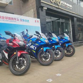 ��ľGSX250R