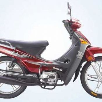 Ǯ�� ���� QJ110-18C a2-1