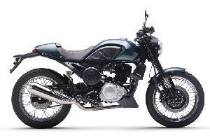 ��ӥ ��ʿ���ų� TY250-5 �ֻ�