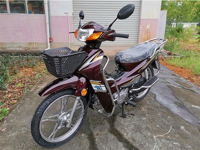  ����Ħ�й�������110CC ���ܴ���ʡ����������