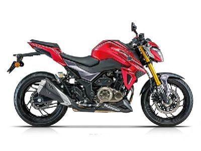  DR300