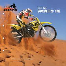 ����ZS125GY-10Sͼ��