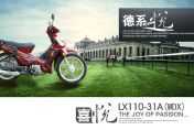 ¡��ϲ�� LX110-31A(WDX)ͼ��