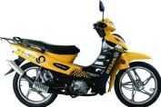 ������ӥ ZS110-26S II���������