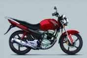 �������� ZS125-65�������