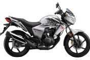 �´��ޱ���ս�� SDH150-F�������