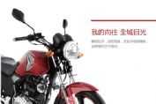 ����ZS125-65ͼ��1