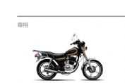 ����ZS125-Sͼ��1