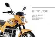 ����ZS150-6Dͼ��1