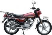�´��ޱ������������ܰ� SDH125�������