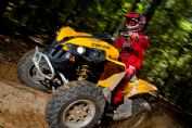 �Ӱ͵�BombardierRenegade 800R�⾰