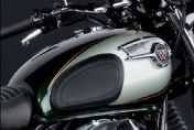 kawasaki����W800��2011��ֲ�ϸ��