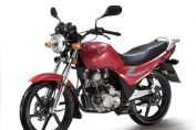 ��������XS125-M�������