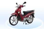 ��������Wonder 110�������