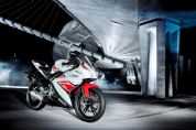 ������YAMAHAYZF-R125 WGP(50��������)ͼ��