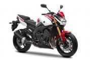 ������YAMAHAFZ8 WGP��50�������棩�������