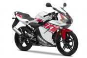 ������YAMAHATZR50 WGP��50�������棩�������