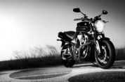 ������YAMAHAMT-01�⾰