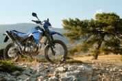 ������YAMAHA[XT660R]�⾰