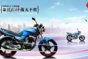 ����ս����� HJ125-17�������棩ͼ��
