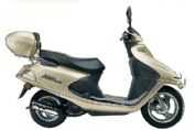 ����HJ125T��13����ɲ���������