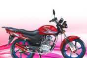 ����BT125-5�������