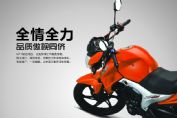 ����LF150-10Bͼ��1