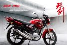 ����-������YBR125E�ٷ���ֽ
