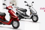 ����-������ZY100T-13�ٷ���ֽ