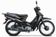 ����JS110-9G�������
