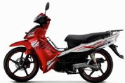 ����JS110-9H�������