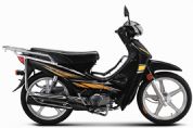 ����CQ110-3C�������