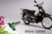����CQ110-3Cͼ��