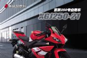 �¸о�XGJ250-21ͼ��