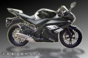 �¸о�XGJ250-21�������