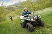 ������YAMAHAGrizzly 450 IRS�⾰