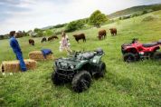 ������YAMAHAGrizzly 350 4WD�⾰