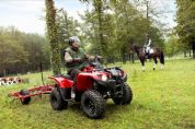 ������YAMAHAGrizzly 300�⾰