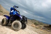 ������YAMAHAGrizzly 125�⾰