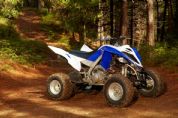 ������YAMAHAYFM700R Special Edition�⾰