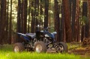 ������YAMAHAYFZ450�⾰