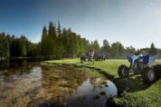 ������YAMAHAYFM250R�⾰