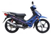 ����YG110-A�������