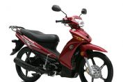 ����YG110-6A�������