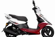 ����ZS125T-25�������