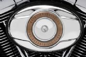 ����Heritage Softail&reg; Classic 110th Anniversary Edition�ֲ�ϸ��