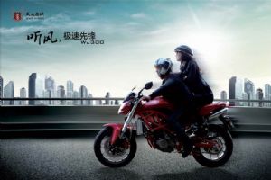 �������WJ300ͼ��