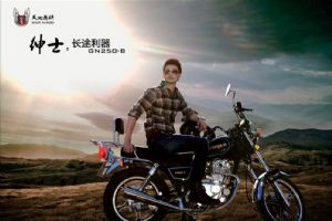 �������GN250-Bͼ��
