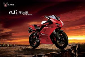 �������WJ300GSͼ��