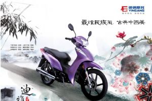 ����YG110-8Aͼ��
